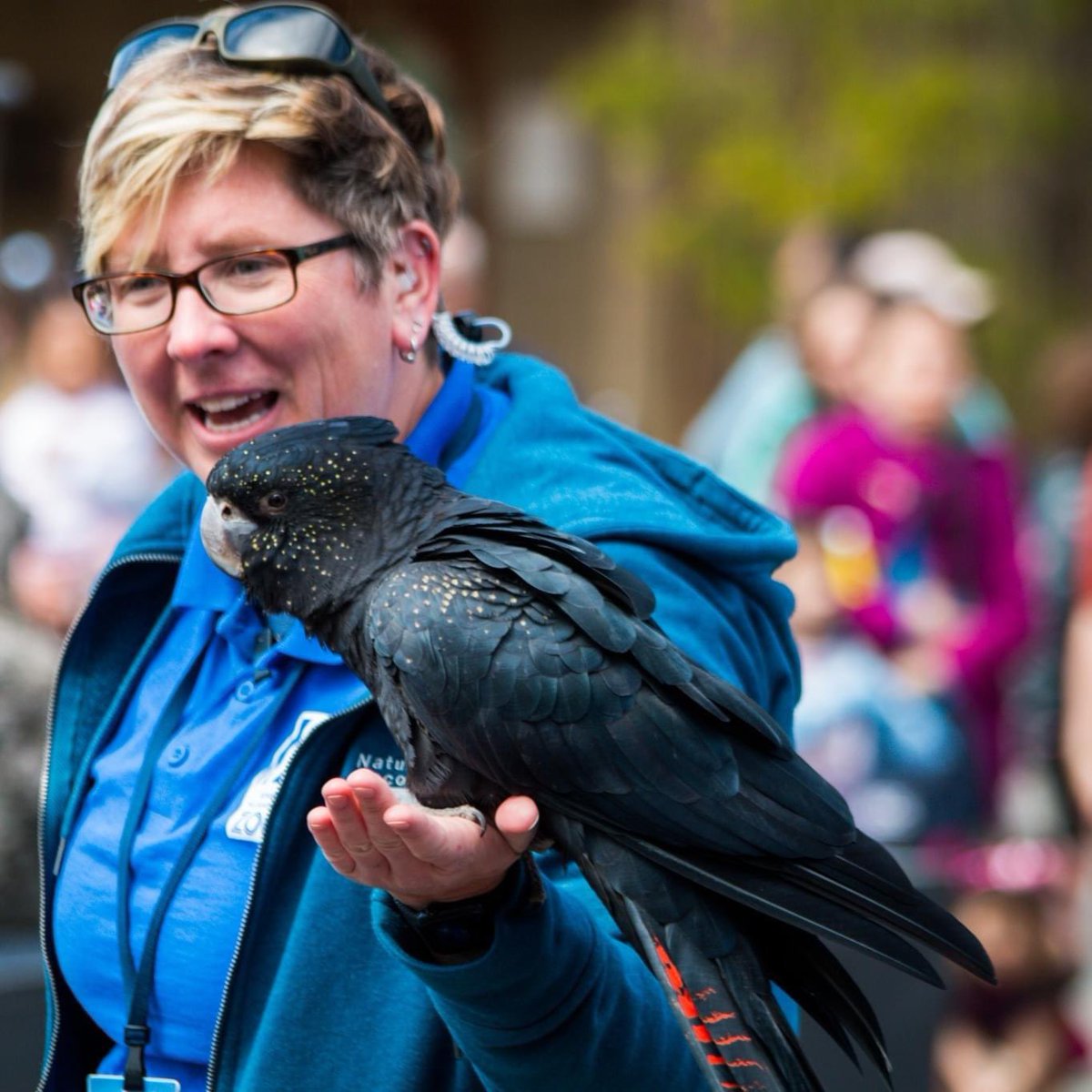 Want to hang out with some high-flying friends? Our daily Interactive Bird Shows presented by BankRI are back! 👏🏽 Shows run daily at 11 AM and 2 PM (weather permitting).