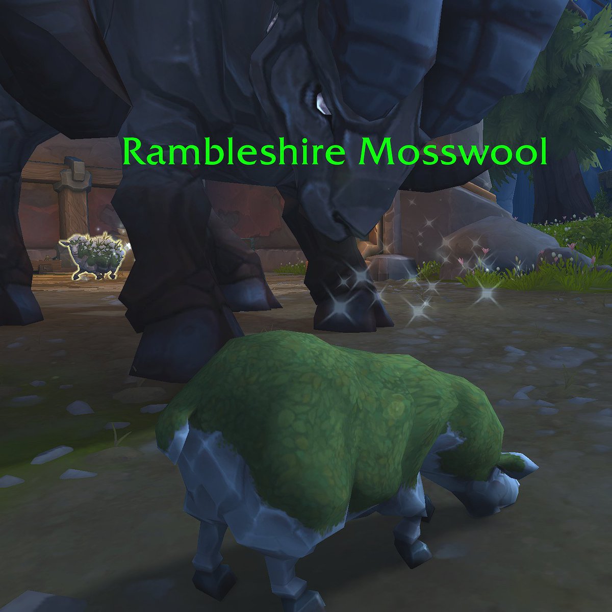 Of all the critters on the Isle of Dorn I am a bit taken with all the different 'sheeps'. Farming and keeping livestock is important to the folks on the Isle (more on that later). Here is a Rambleshire Mosswool, before and after shearing! What a cutie! 🐑#TheWarWithin #WoW