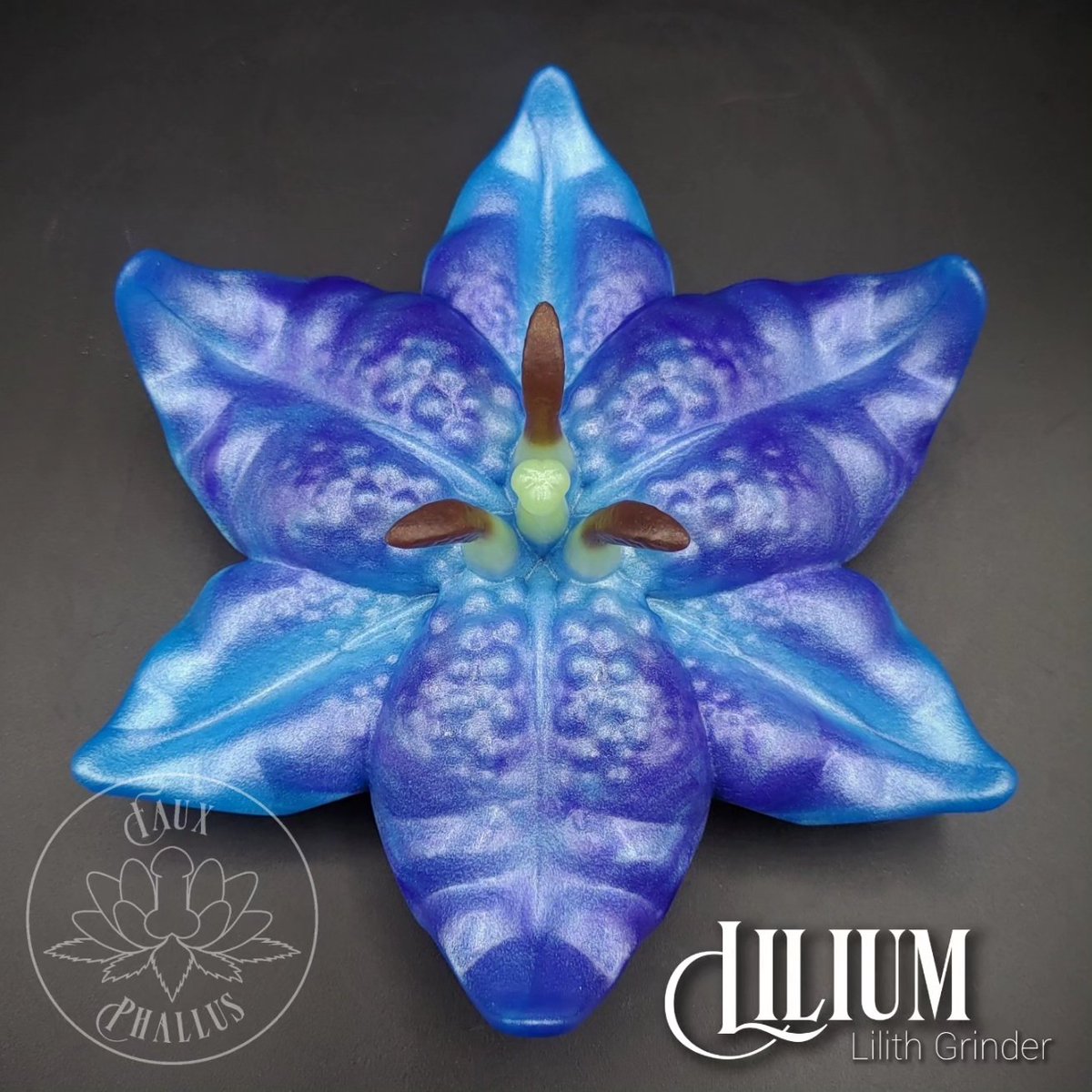 FauxPhallus's tweet photo. We tried an experiment with painting the Anthers 🤔 what do you think ? Yes, No ?
It was very fiddly to do 😬 https://t.co/P5qerrGLLp