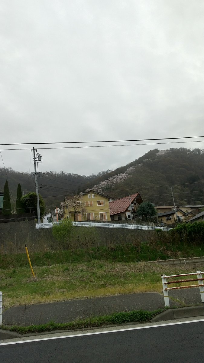 mihyat's tweet photo. 4/18 7:00 光城山、まだ大丈夫。 https://t.co/w50WpgtOvO