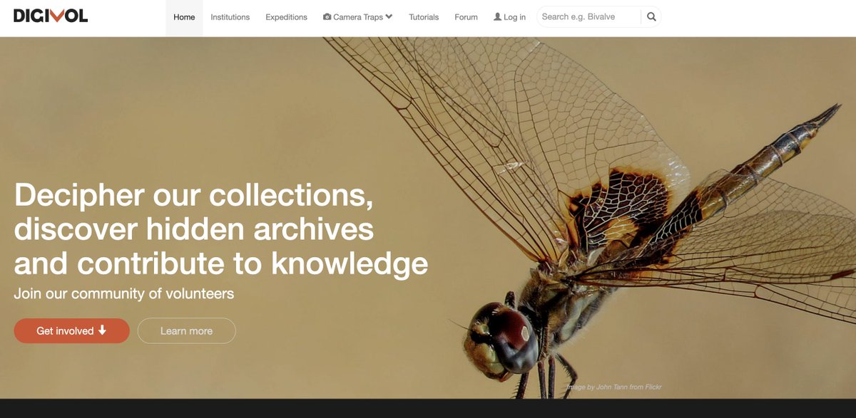 It's the start of the April <a href="/WeDigBio/">WeDigBio</a> event here in NZ and I'm off to <a href="/AMDigiVol/">DigiVol</a> to choose an expedition to contribute to for the next four days. volunteer.ala.org.au