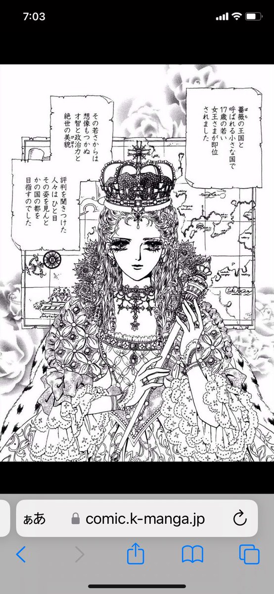 @atoc_sasaki @etsirt_okah モノクロの場合は細い丸ペンでひたすら描いてます。グラデにホワイトだと白っぽさが出し難いので。①②も拡大コピペじゃなく描いてますのよ😙④の柄も手描きですわ(細かい方はアシTはんの力作) 