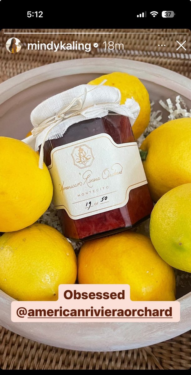 DBrown99944's tweet image. And .  . Mindy Kaling is #19❤️❤️❤️ #AmericanRiveriaOrchard 

#DuchessMeghan #MindyKaling #ARO