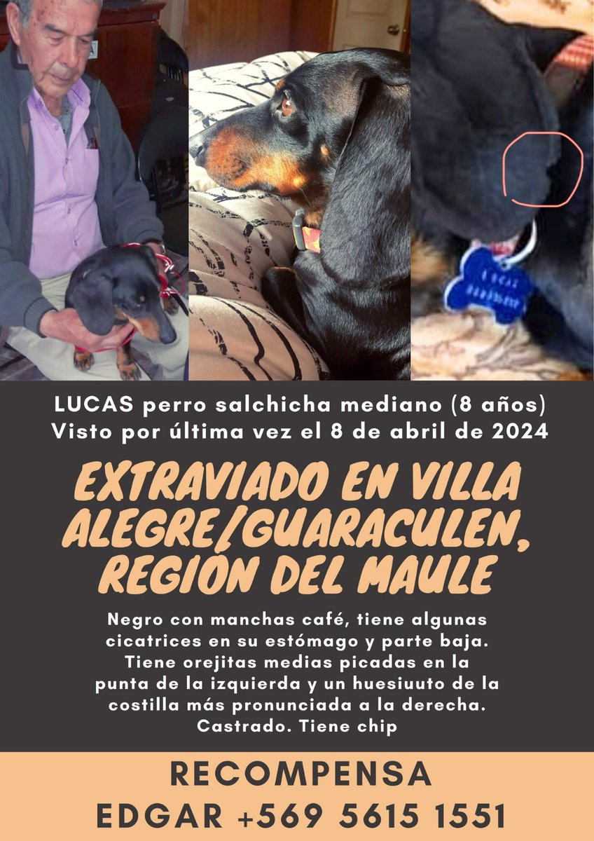Atención #VillaAlegre #Guaraculen en la Región del #Maule: buscan a Lucas. Favor RT!