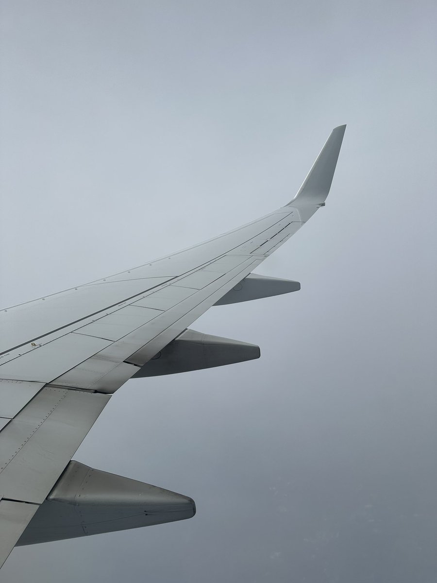 ian ayisah tweet media