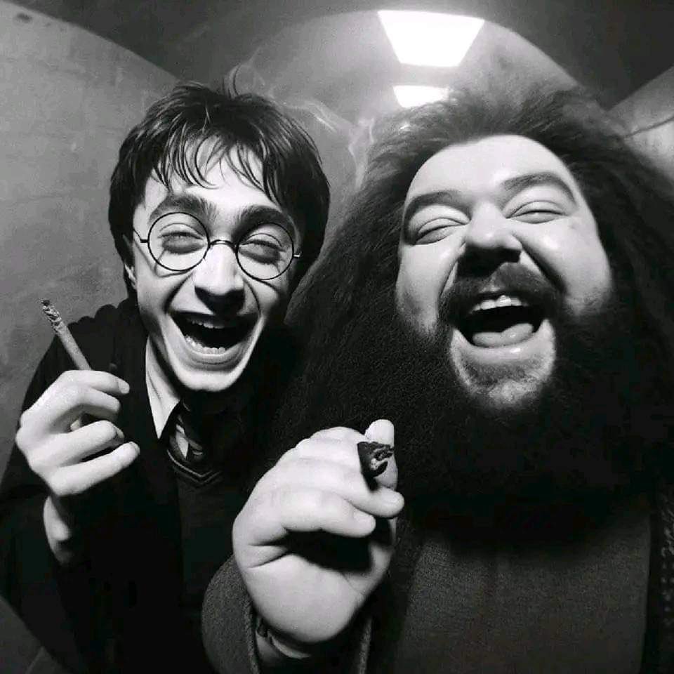 MaconheiroMemo's tweet photo. Harry Potter e o Enigma da Erva https://t.co/mv6azYc3xo