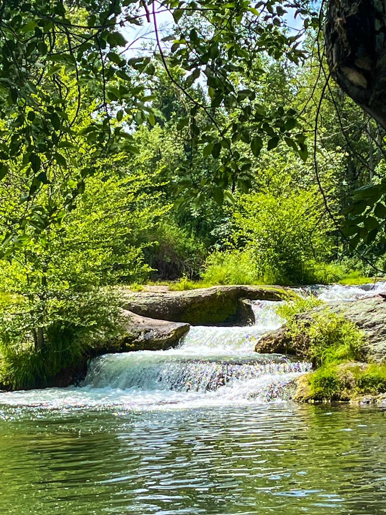 let us walk downstream 
where the gentle currents flow
beauty in falling

#vssnature #stream #poetry #WritingCommunity #naturepoetry #haiku