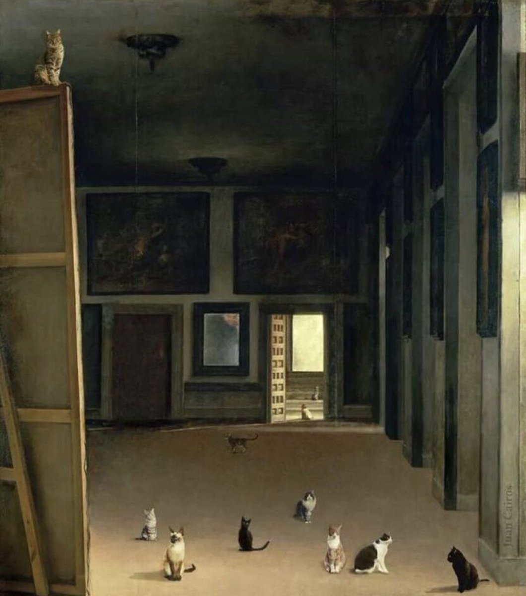 GatitoJoseos's tweet image. Las mininas