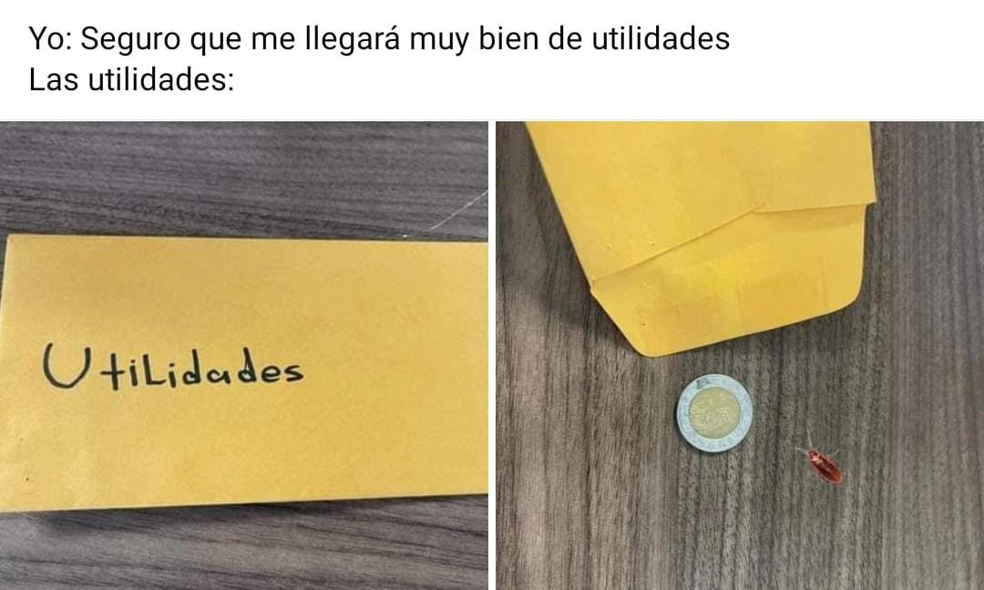 teueur2's tweet photo. Atención:

@reinachiripa , @JuniorCorgi , @JPisioso , Nikki de @RitsukoZambs , @Sofie_JMACS  ya pueden pasar por sus utilides. Inviertano sabiamente: https://t.co/ZCPSpndZcB