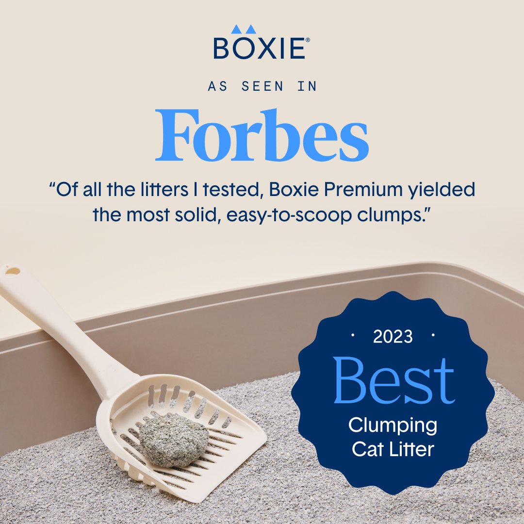 🌟 As seen on Forbes as the Best Clumping Litter, Boxie cat litter is the premium choice for odor control! 🐾✨ ⁠
⁠
Link in bio to shop award-winning cat litter. 💯⁠
⁠
#boxie #boxiecat #boxiepro #cat #kitten #kitty #catlitter