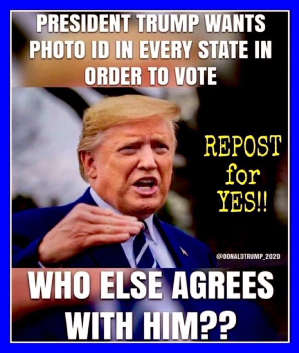 Texas_jeep__guy's tweet photo. I absolutely agree 💯!  #Trump2024 #VoterID #MAGA2024 https://t.co/G9ErQtHJYi