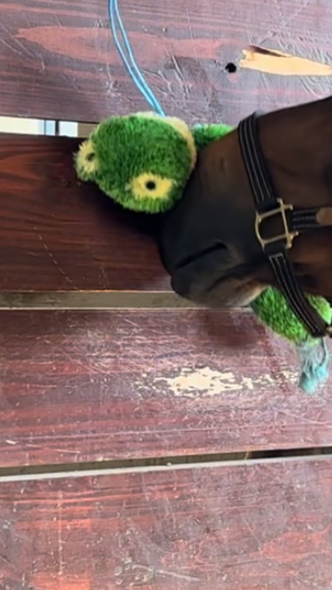 Post circuit has me like