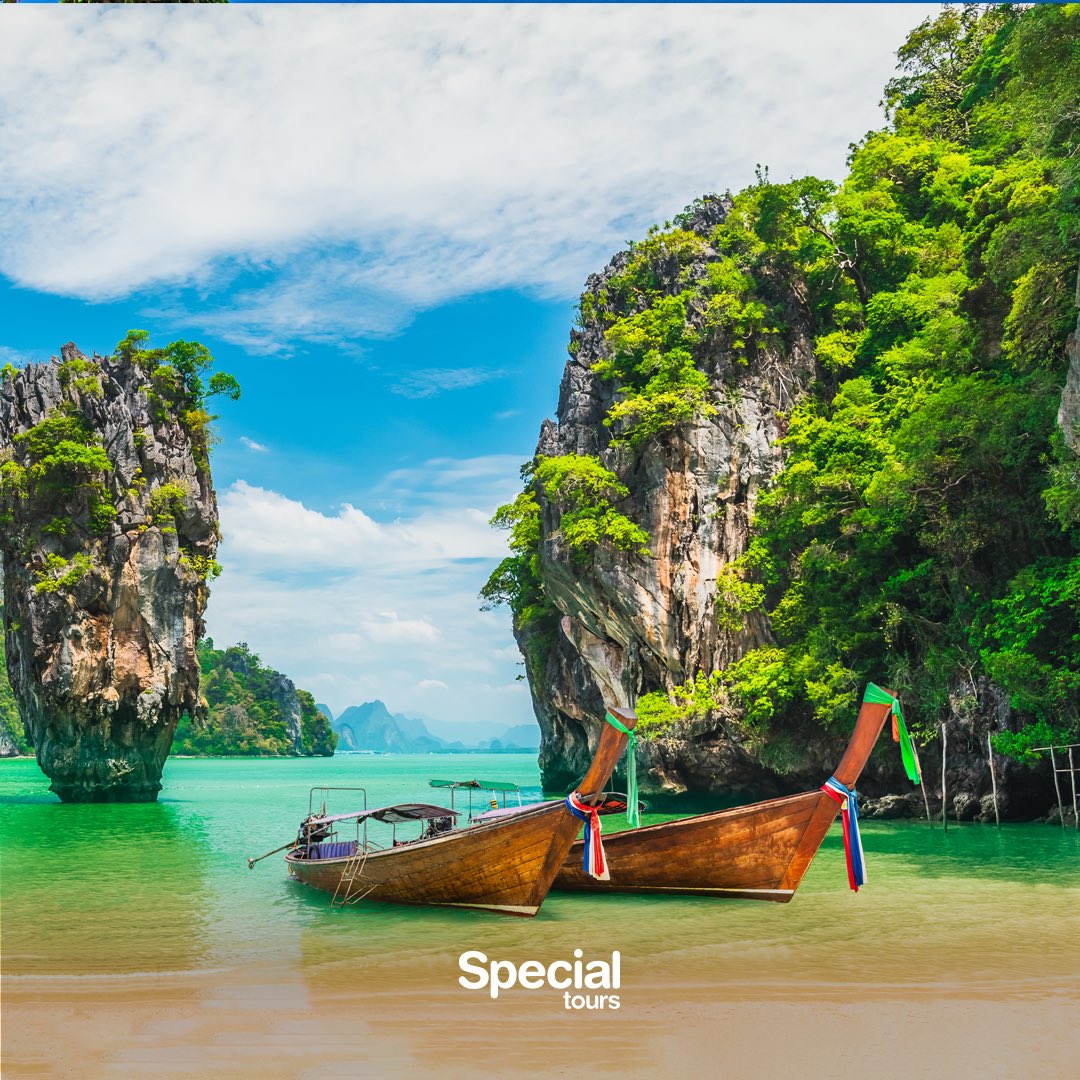 Special Tours tweet media