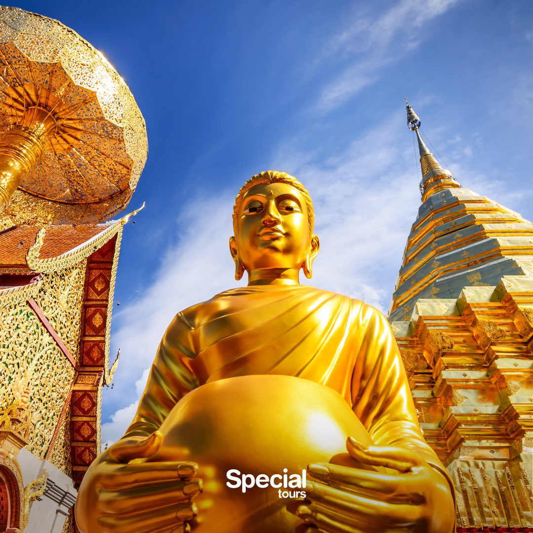 Special Tours tweet media