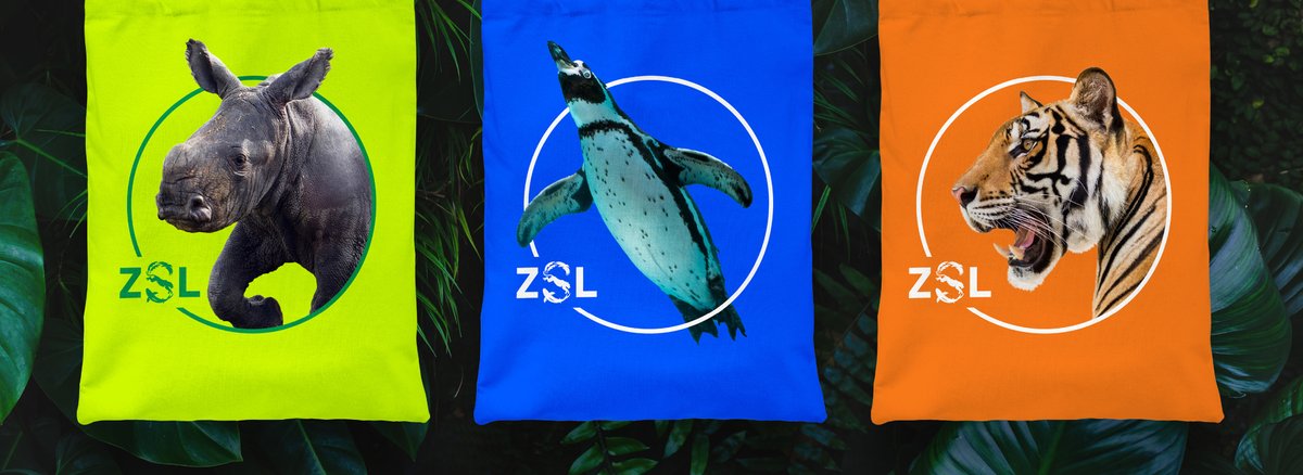 The prestigious 2024 ‘Grand prix’ award goes to the brilliant ... <a href="/OfficialZSL/">ZSL</a> and <a href="/RBLBrandTeam/">rbl Brand Agency</a> – a massive congratulations on grabbing the biggest and best award of the night! #TransformAwards