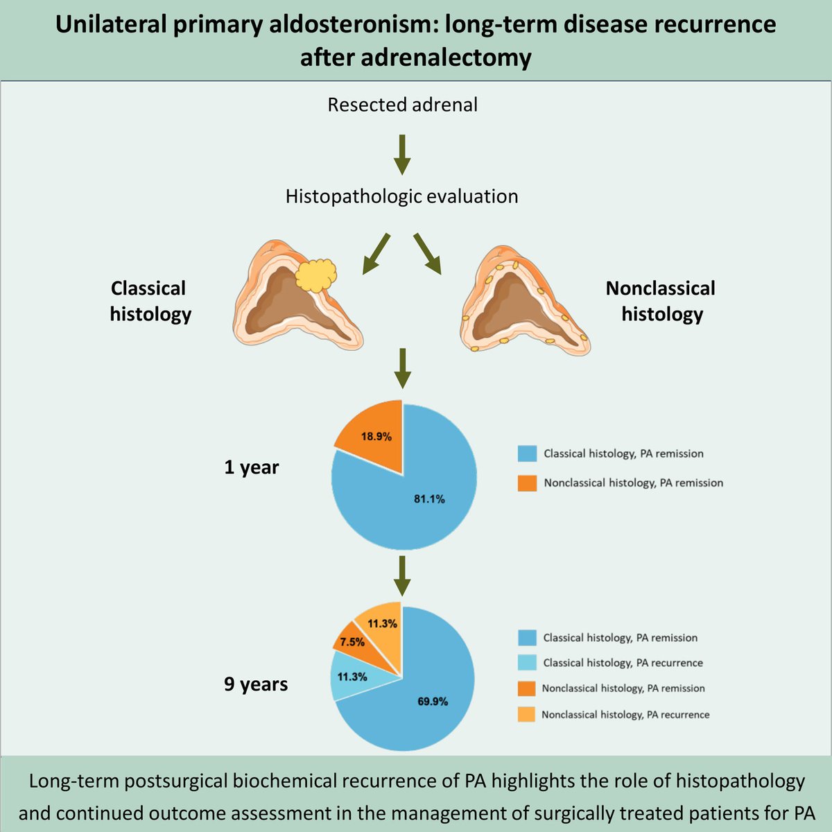 Unilateral Primary Aldosteronism: Long Term Disease Recurrence after Adrenalectomy @TracyAnnWilli12 ahajournals.org/doi/10.1161/HY…