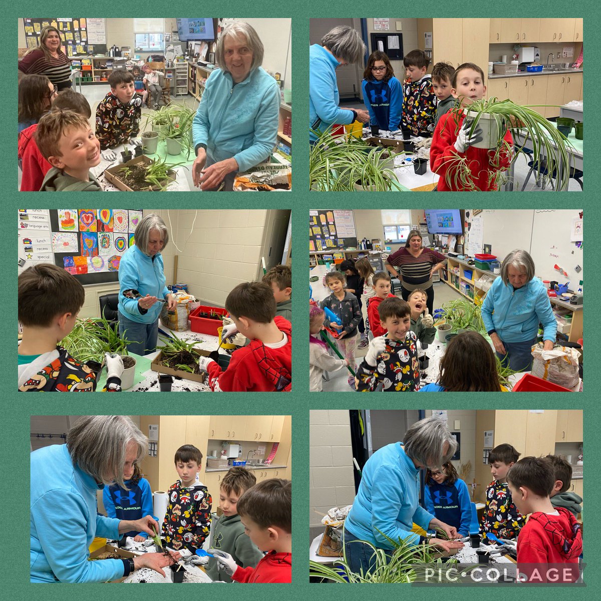 Propagating plants with a 5th generation farmer to kick start Earth Day. Students learned about the properties of aloe plants and that spider plants help to clean the air. Groups also read Earth Day read alouds. #EarthWeek2024