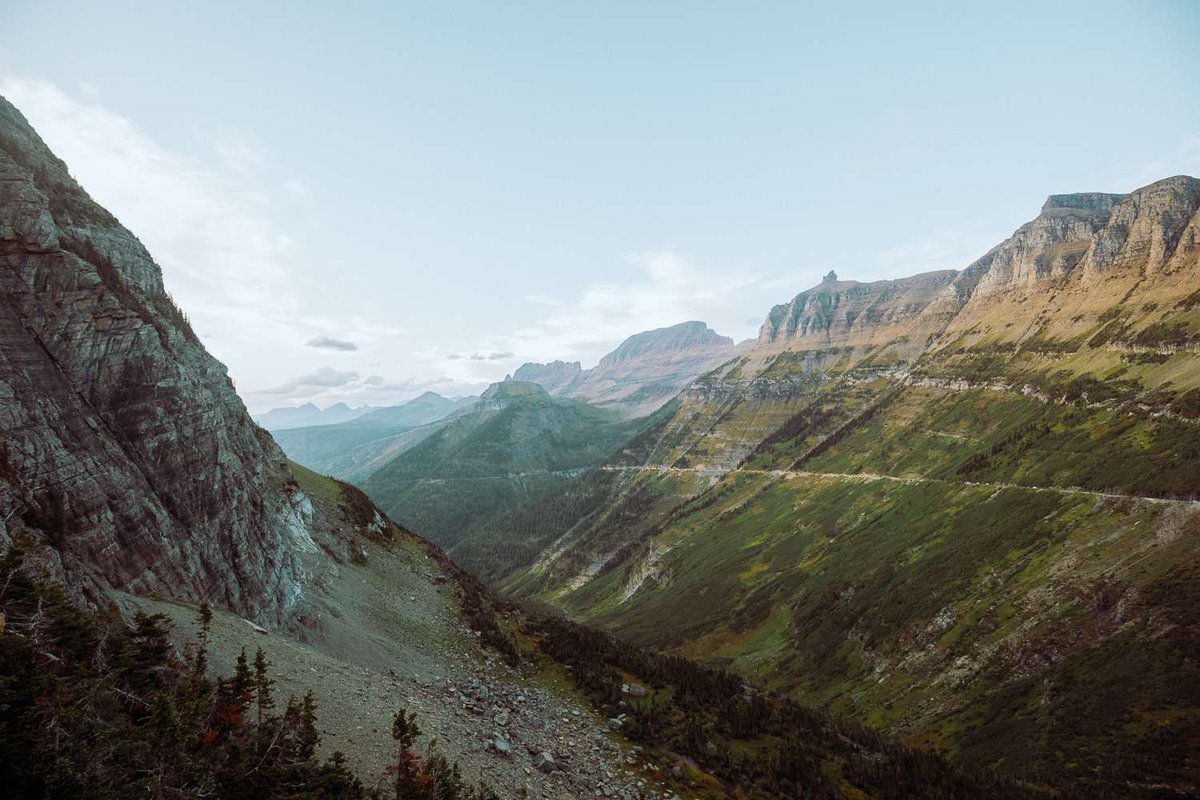 Rachel Off Duty tweet media