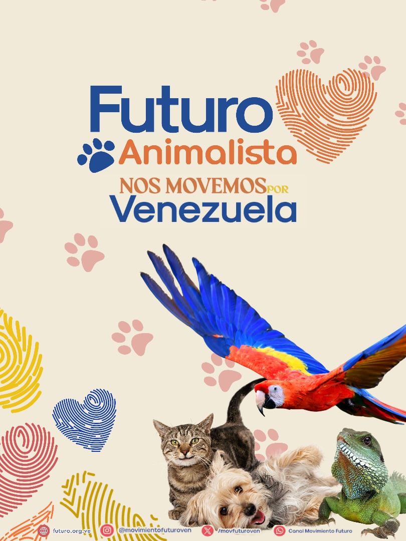 Movimiento Futuro tweet media