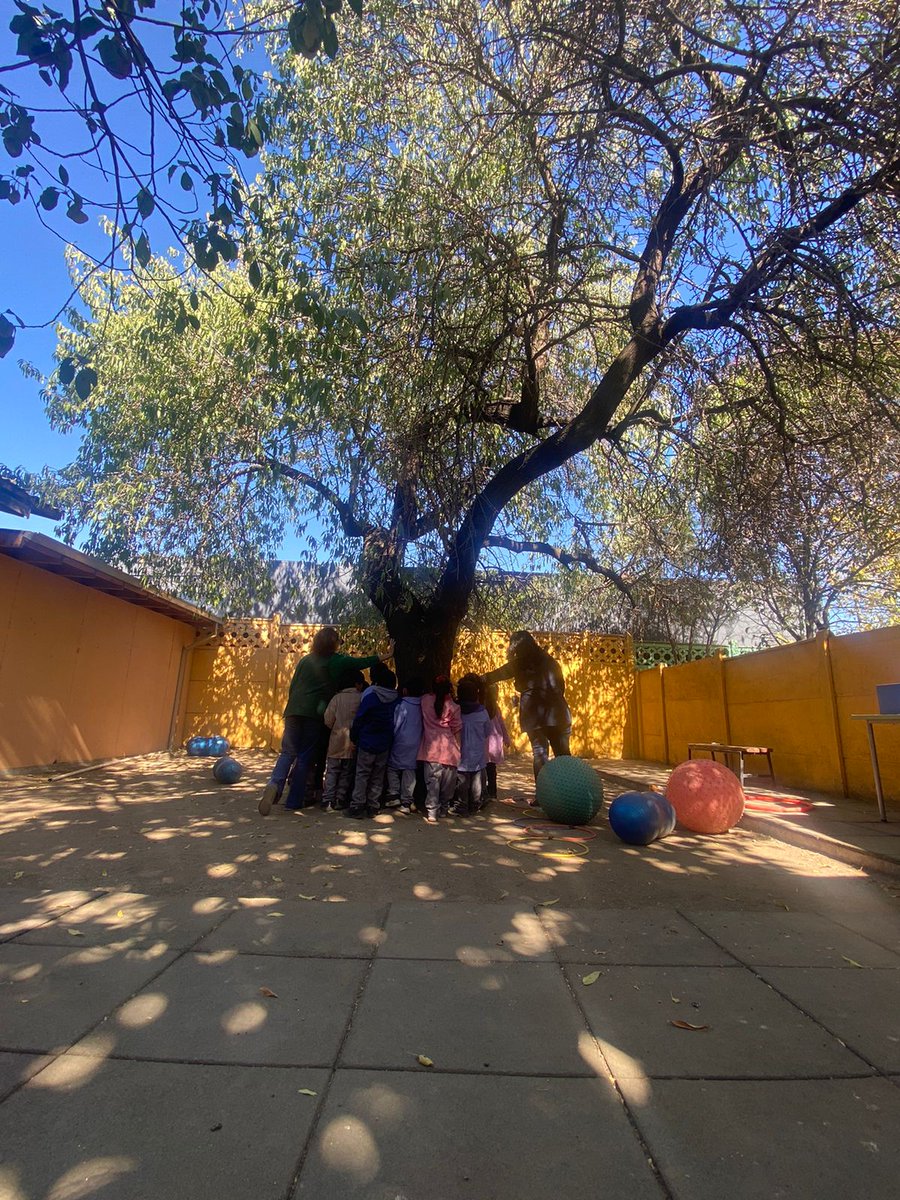 Se salvó! 
El 🌳 del colegio Agusto Dhalmar lxs nn seguirán disfrutando de la sombra generosa y un bello lugar para jugar 
Gracias a todxs por apoyar