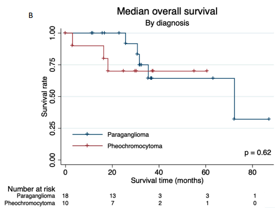 HalletJulie's tweet photo. ☢️More data for PRRT in pheo/pgg from 🇩🇰

28 pts with🔆SSTR+ advanced tumors
▪️OS 72 months median (pgg=pheo)
▪️PFS 30 months median (pgg>pheo)
 ⬆️with germline mutation (RET, SDHx)

Can #NETologists pull off RCT?

📝https://t.co/sMkgfwVR59