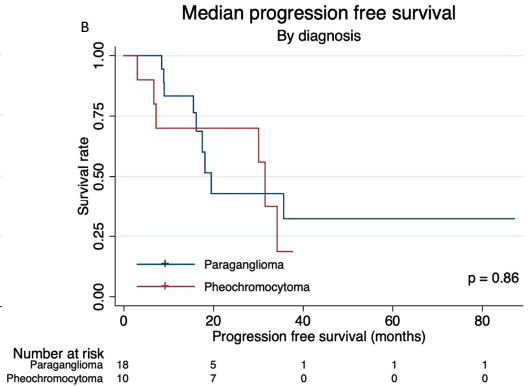 HalletJulie's tweet photo. ☢️More data for PRRT in pheo/pgg from 🇩🇰

28 pts with🔆SSTR+ advanced tumors
▪️OS 72 months median (pgg=pheo)
▪️PFS 30 months median (pgg>pheo)
 ⬆️with germline mutation (RET, SDHx)

Can #NETologists pull off RCT?

📝https://t.co/sMkgfwVR59