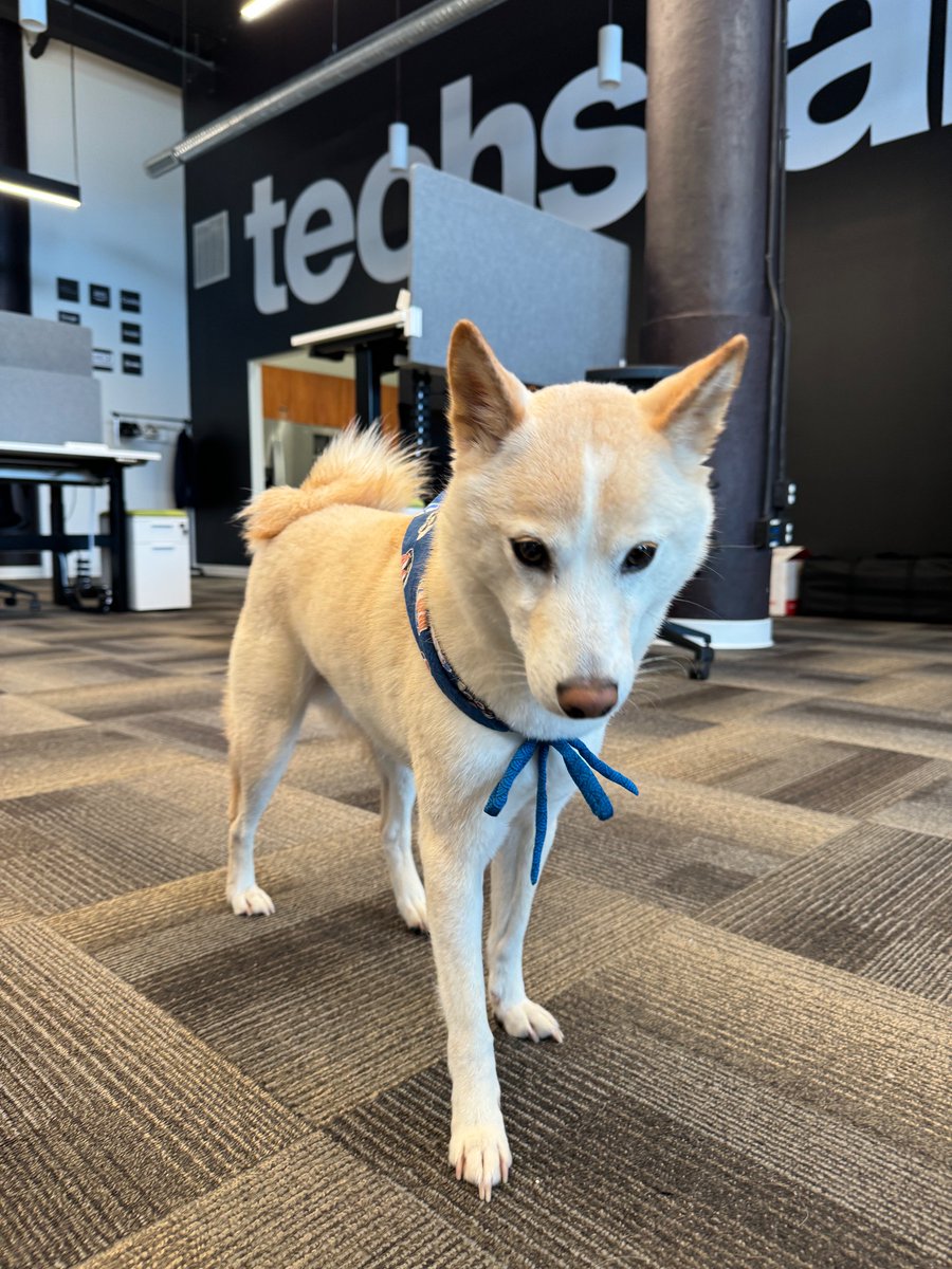 AKALA Pathways Guidance tweet media