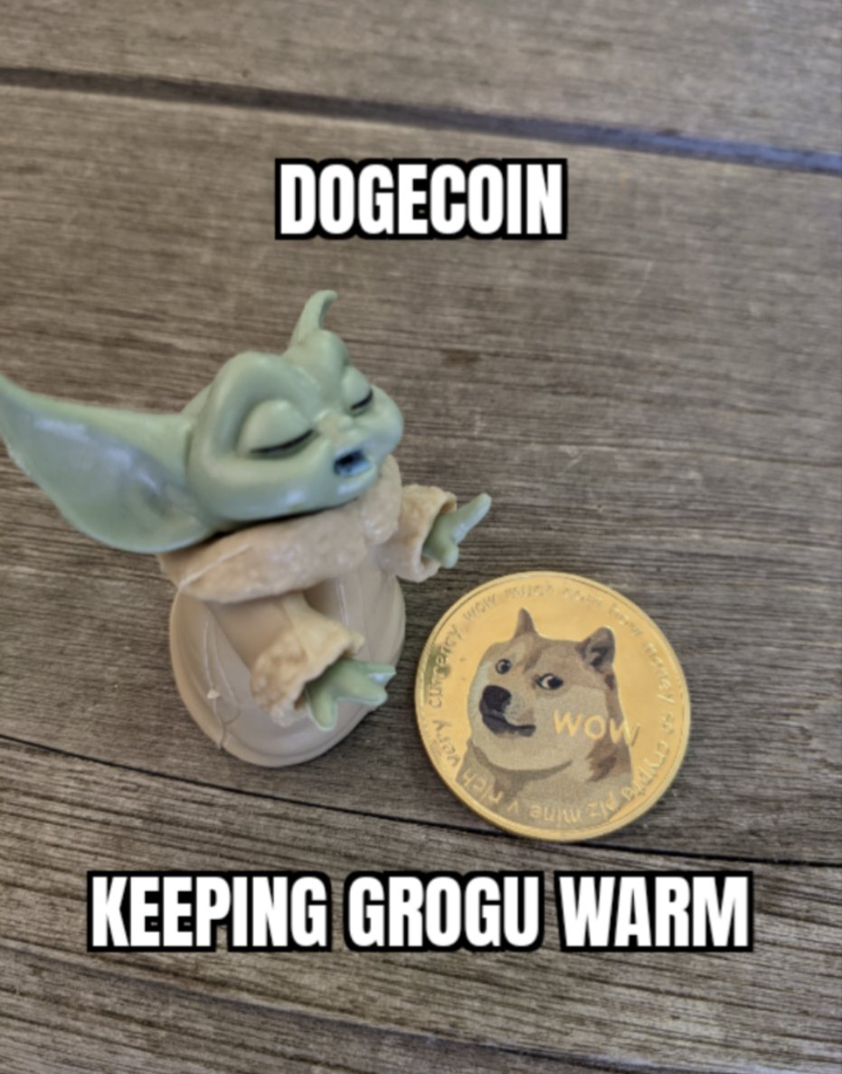 #dogecoin is the way
