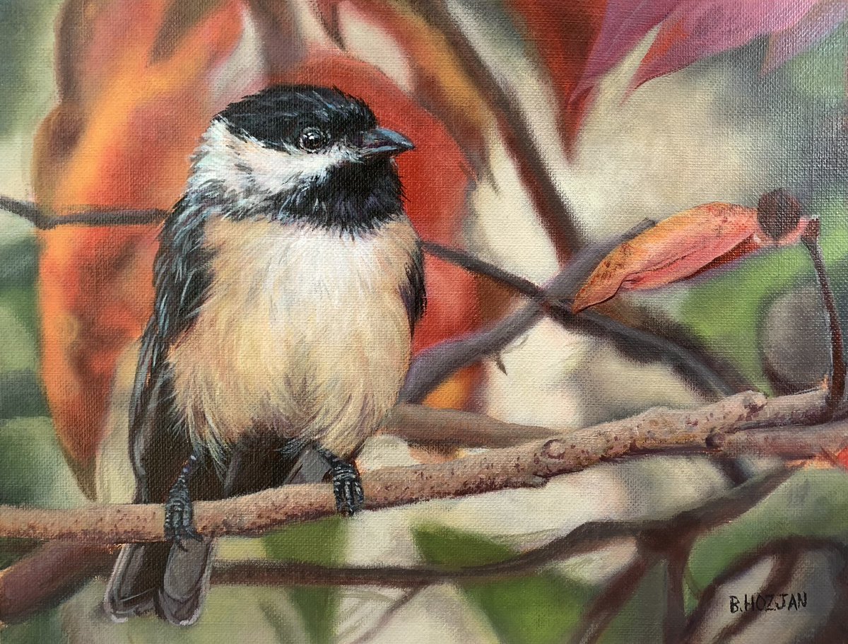 BrendaHozjan's tweet photo. Chickadee. I enjoy both painting and feeding these tiny little creatures. (Original photo courtesy - Mike Blevins.) 9” x 12” acrylic. https://t.co/46369iGezo