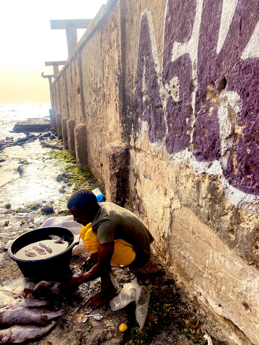 #dakar balık lokantaları salaş ama çok lezzetli 👌🇸🇳 #Senegal #fishinglife