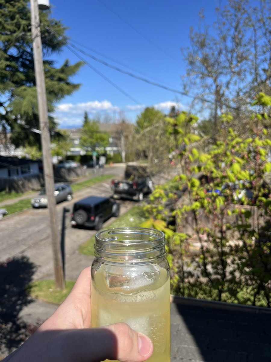 Definitely not a winning day but at least I can come home and make a lemon vodka mule with my homemade ginger beer and sit on the roof about it