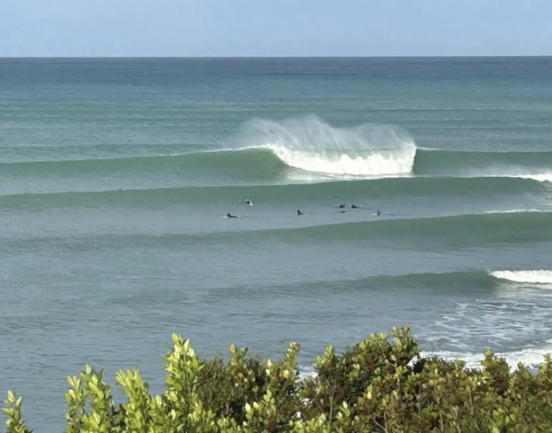 Today was a good day in #tuscany #gooddaytobeitalian #tuscanybuzz #spingsessions #mediterranean #tuscany #swell #italia #italiansurf #it #toscana #toscano #picture #italianstyle #italian #volgotoscana #toscana_photogroup #tuscanyitaly #tuscaloosa #tuscanygram #tuscanystyle