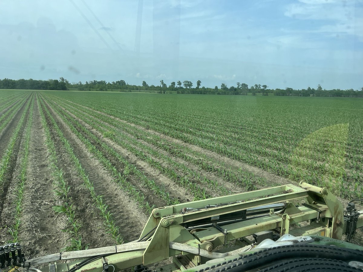 Ale Frick tweet media