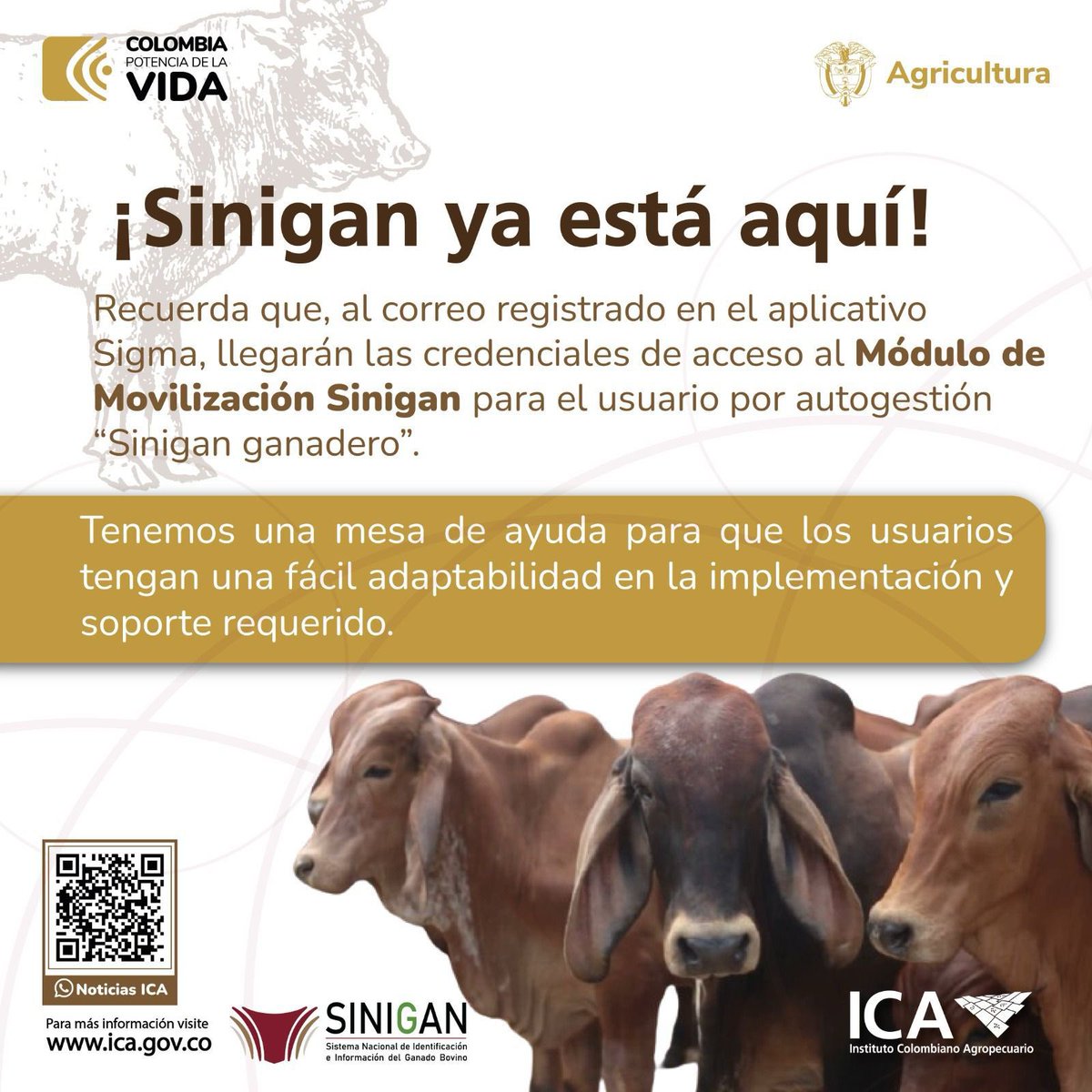 #AEstaHora⌚️| nos reunimos con los gerentes seccionales y líderes de movilización a nivel nacional para dialogar del proceso de migración de Sinigan, escuchar lo que ocurre en tiempo real en región para mejorar la capacidad de respuesta y verificar la ruta de trabajo.