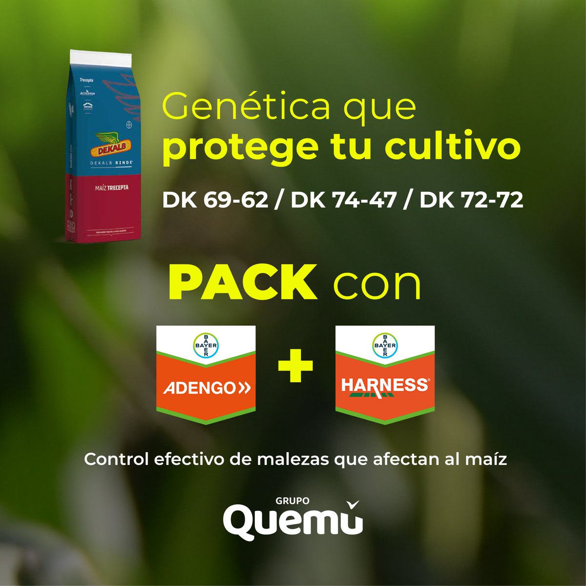 Fullagro de Grupo Quemú tweet media