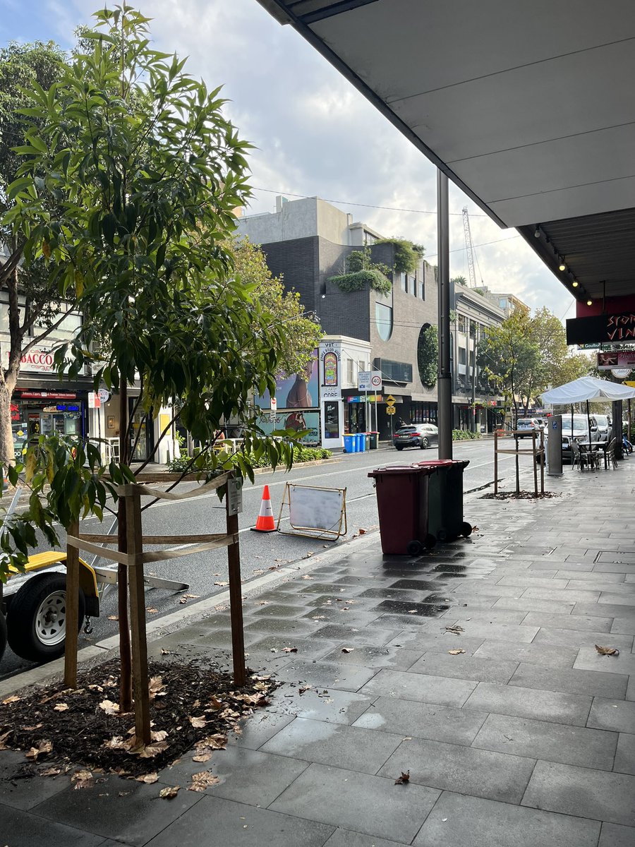 Great to see the new street tree planting in the widened & upgraded footpaths being rolled out along Crown St in Surry Hills.
👏👏👏@cityofsydney @CloverMoore 
For a better #publicsydney