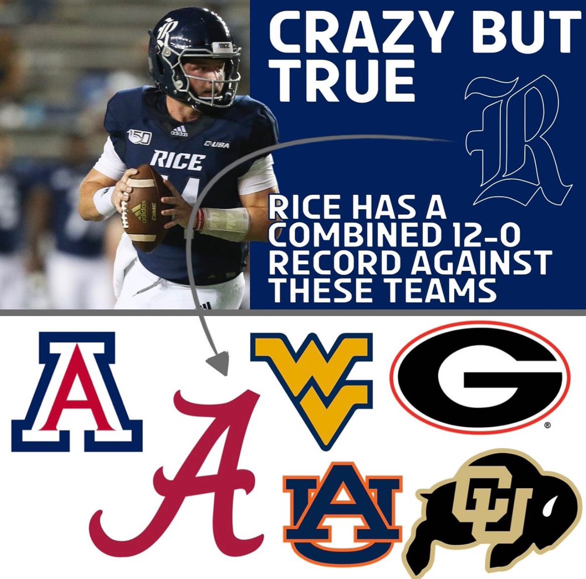 🦉 Its a Rice Owl world and we just live in it #IntellectualBrutality