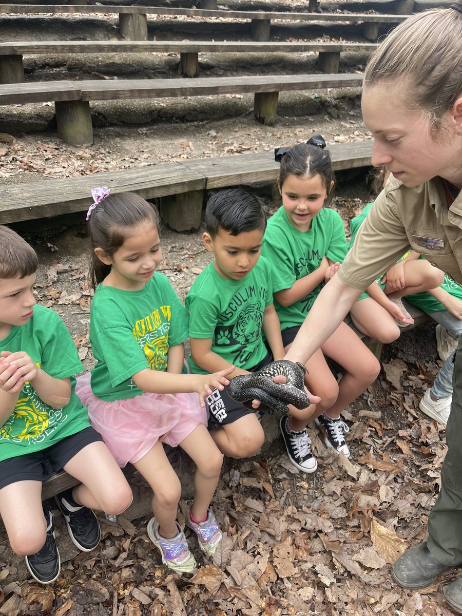 TVKindergarten's tweet photo. It was a beautiful day at Bays Mountain! ⛰️🐍🐺 https://t.co/qvtiK2hnx0