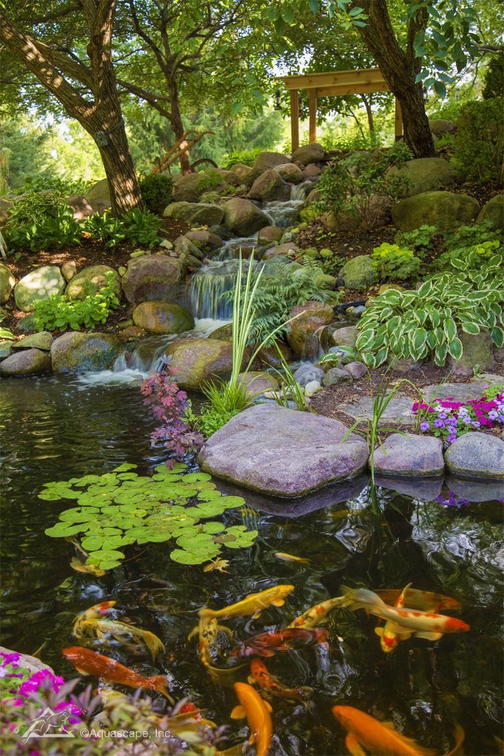 HANS LOREI tweet media