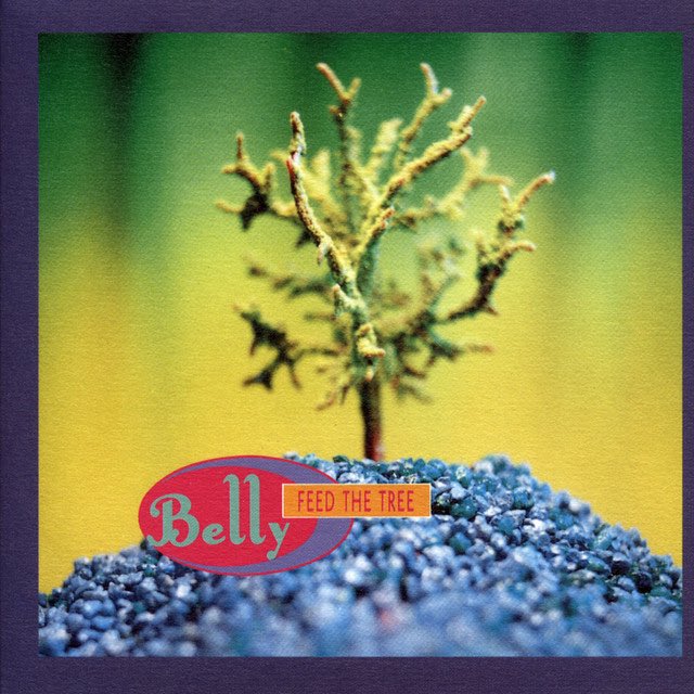 #1993Top20

12. Belly - Feed the Tree