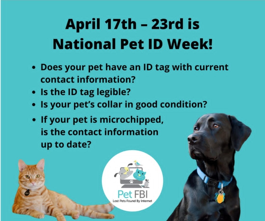 Lost Dogs Arizona tweet media