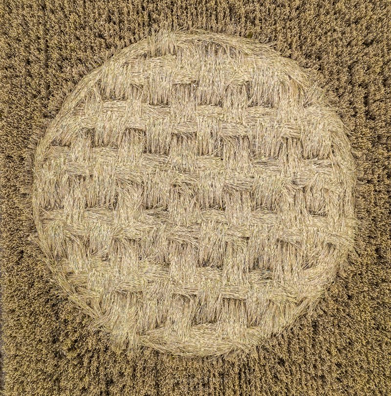 One of the best woven floor lays seen in a crop circle! 👀🧺

This is the outermost section of a unique design that appeared near Stonehenge during the 2020 season

July 17th, Luxenborough, Wiltshire UK 
more images below 🌾