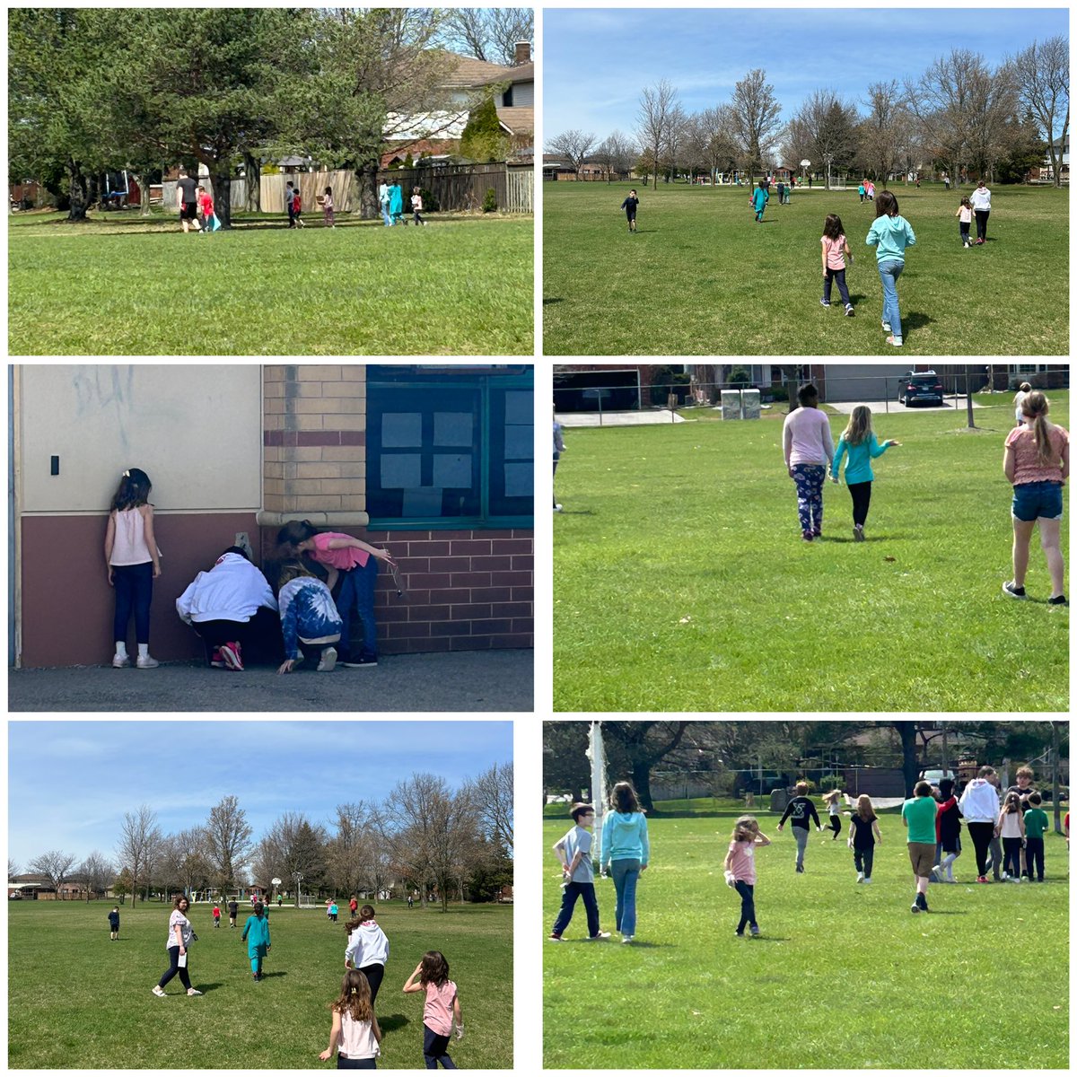 Grade 4 and grade 1/2 learning buddies at Lynndale picking up garbage and going on a nature hunt. Everyday is earth day 🌎 <a href="/LynndaleHeights/">Lynndale Heights PS</a>