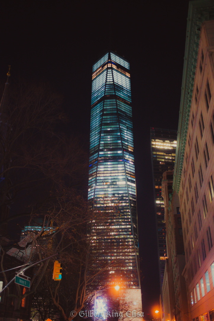 'The Freedom Tower'   
~New York City, NY           #nyc #newyorkcity #lights #colorphotos #manhattan #streetphotography #skyscraper #nights #nightphotography #homelessness #art #photography #urbanphotography #photooftheday #colourphoto #lowermanhattan #streetphotographer…