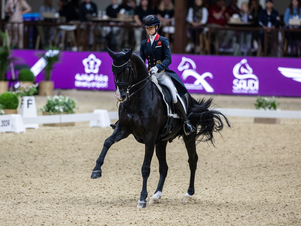Proving the predictions right.  #FEIWorldCupFinal 

Lottie Fry and Everdale Lead by 2% in Riyadh 
horsenetwork.com/2024/04/everda…