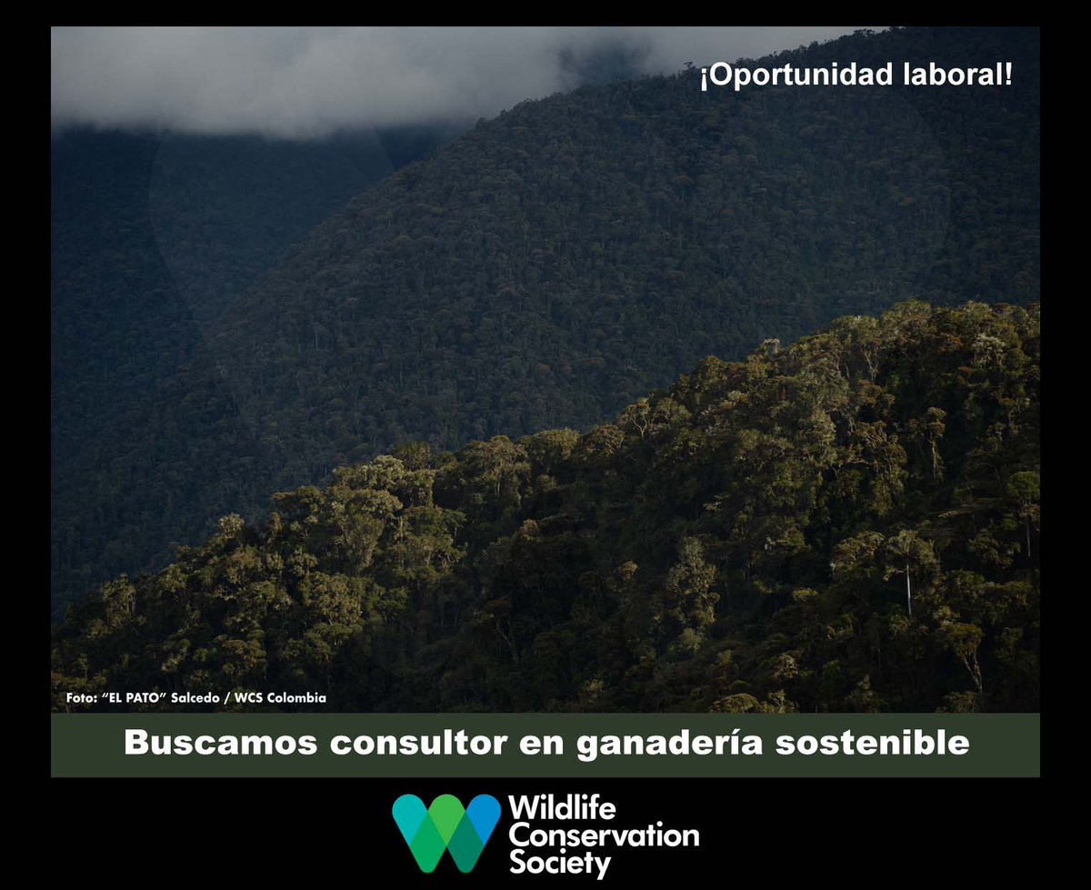 #TrabajoSiHay, en el #SurDelTolima 🐄Si eres profesional veterinario, agropecuario, administrador de empresas agropecuarias, zootecnista o perteneces a carreras afines, te estamos buscando. 🧐Detalles 👉 tinyurl.com/yt63hew9 ⏳Plazo para postularse: 26 de abril de 2024