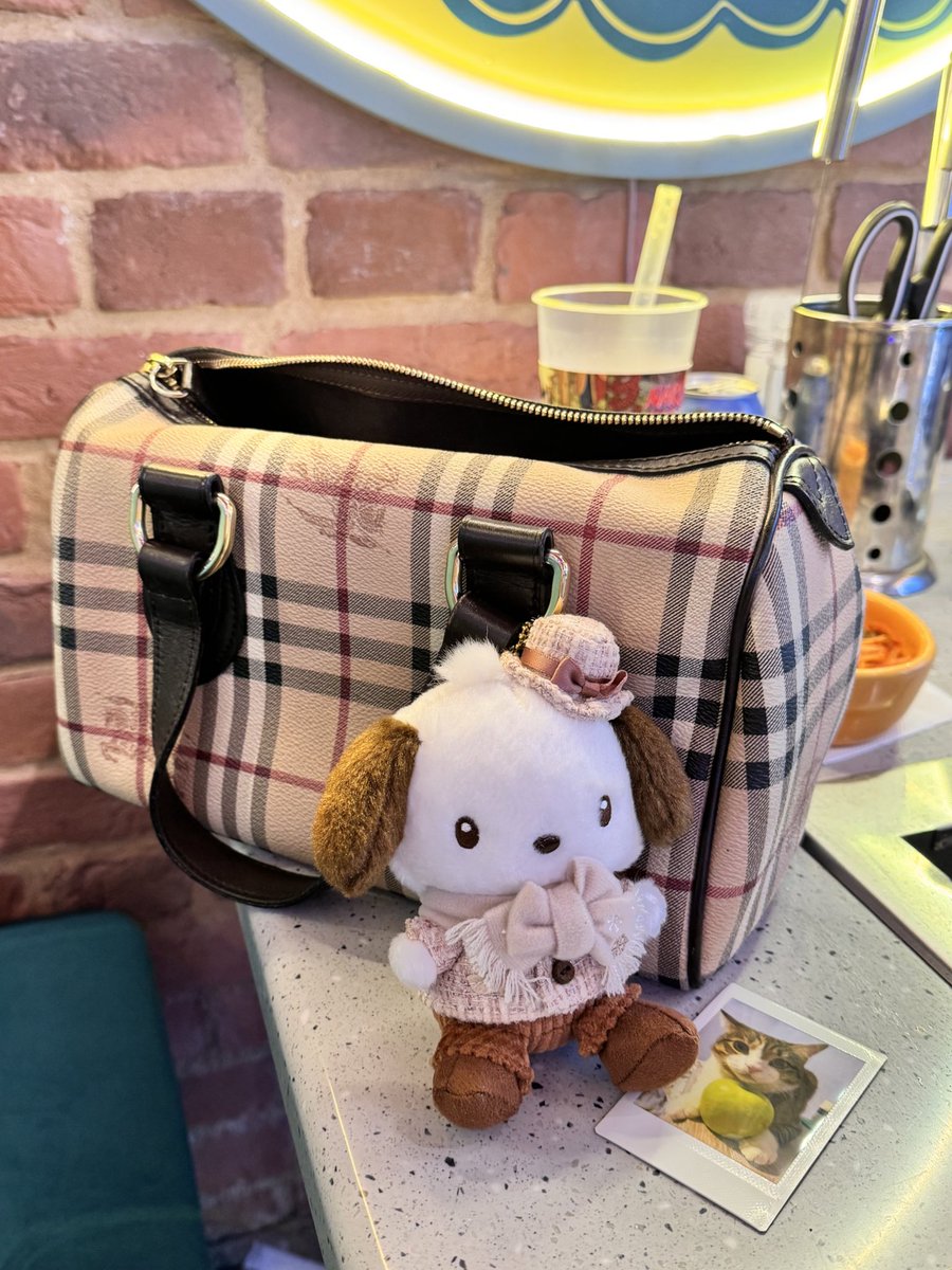 My sis’s bag and Pochacco that I gifted her before she got this bag is perfectly matching together! 🥹❤️