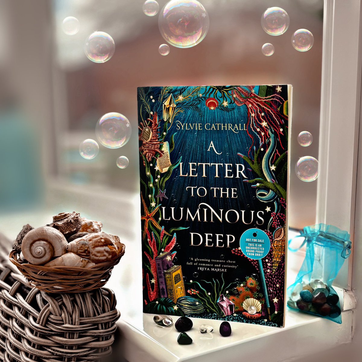 Happy Book Birthday to @SylvieCathrall A Letter to the Luminous Deep is out today! Here’s my review again from @TheFantasyHive Link: fantasy-hive.co.uk/2023/12/a-lett… And if you’d like to know more about this gorgeous book I’ll be interviewing Sylvie on The Fantasy Hive later today too!