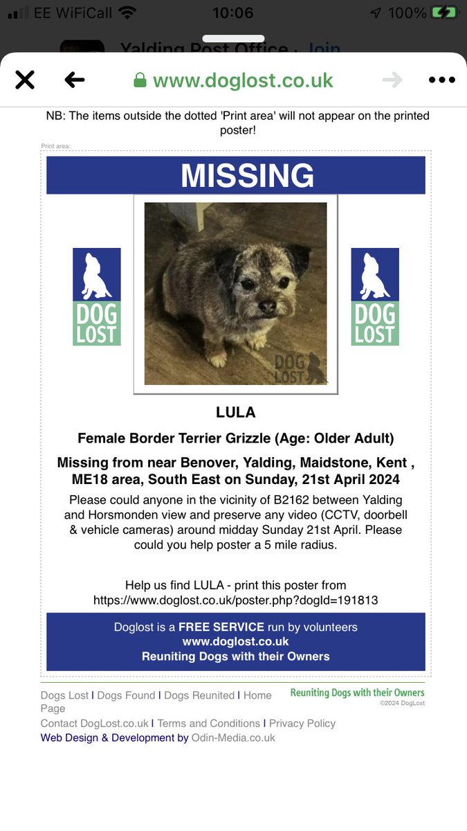 Female Border Terrier Believed to be stolen by courier driver white van. Benover Yalding ME18 Kent family are bereft daughter about to start GCSEs #lostdog #stolendog police informed doglost.co.uk/191813 doglost.co.uk/dog-blog.php?d… facebook.com/share/p/a8kA71…  targeted by scammers 🥲