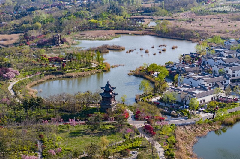 Strolling through the lush and vibrant flora of the Tangdao Bay South Coast #Park in #Qingdao is a delight for both locals and tourists. Enjoy the pure air and radiant #spring sunshine! #BeautifulQingdao